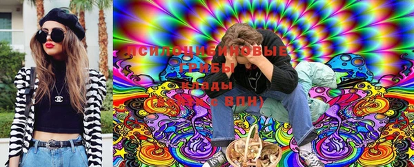 apvp Арсеньев