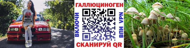 Галлюциногенные грибы Psilocybe  Нижние Серги 